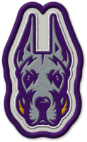 University at Albany patch