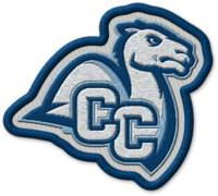 Connecticut College patch