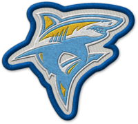 Long Island University patch