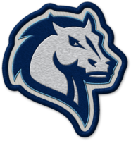 Mercy University patch