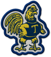 Trinity College patch
