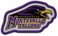 University of Montevallo patch